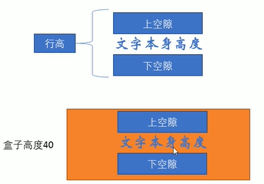 image-20221114005625684